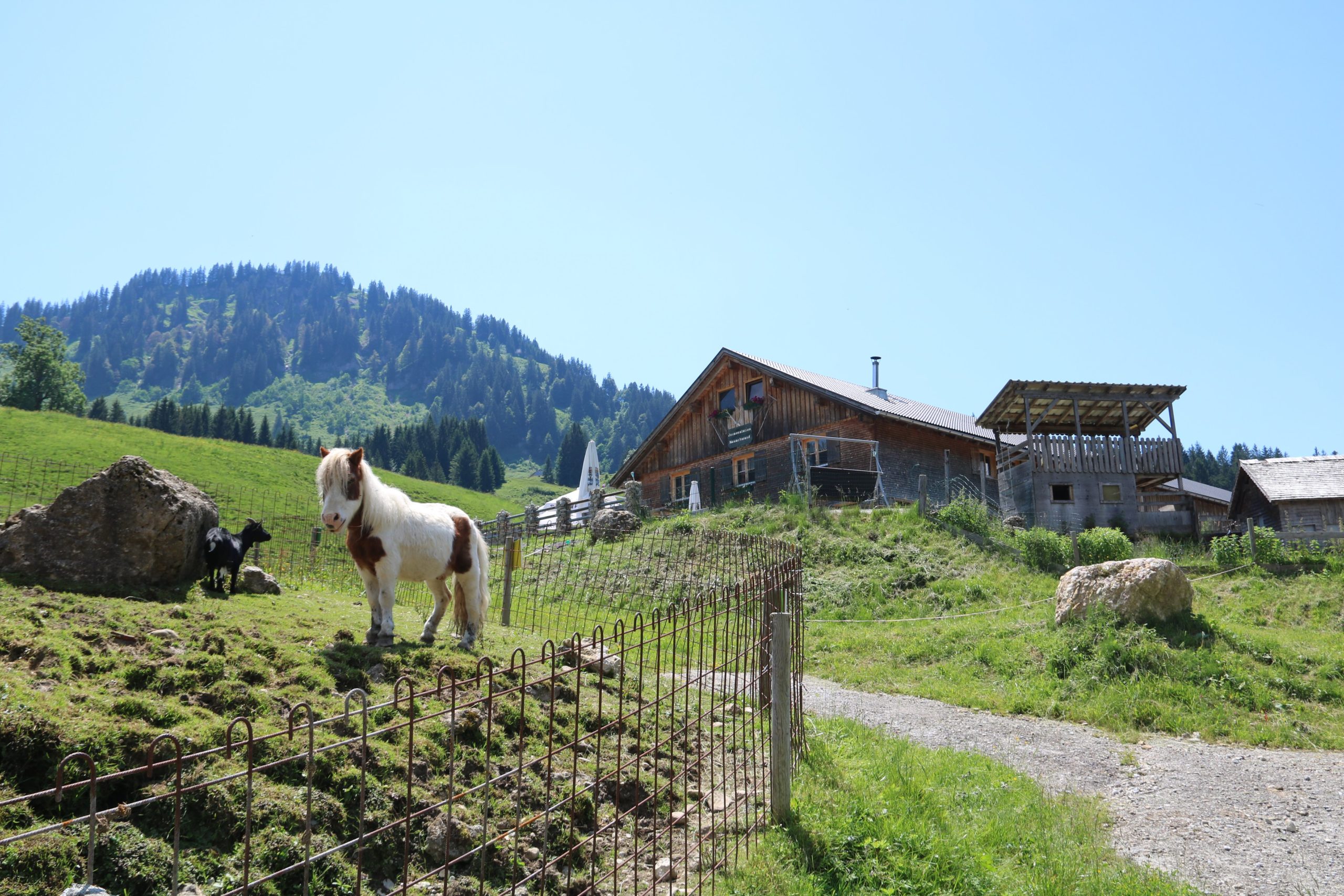 Insider Tipps in Vorarlberg