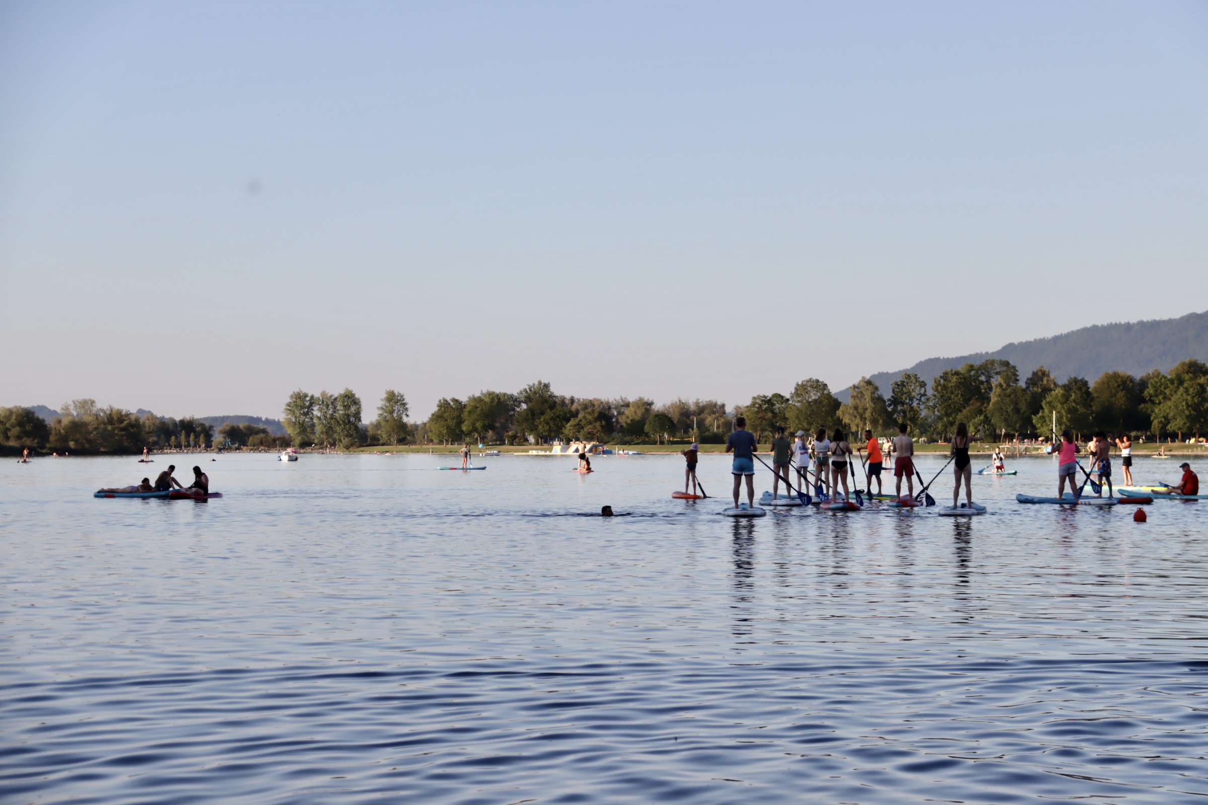Stand-Up Paddle am Bodensee 