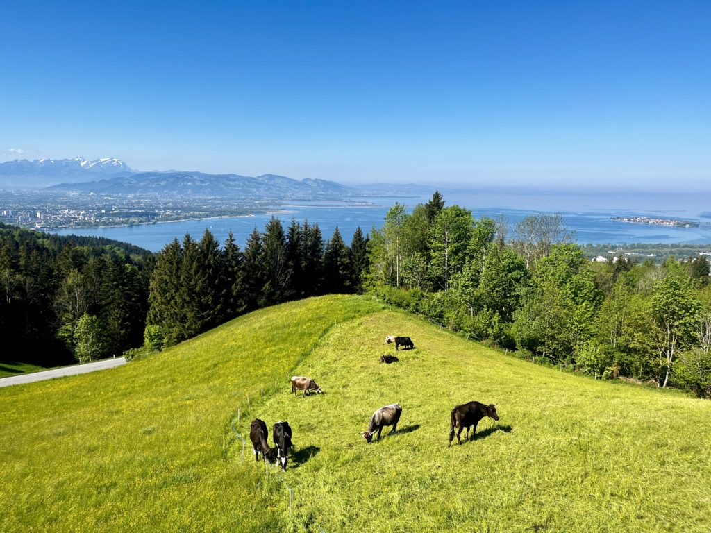 Schönblick Eichenberg