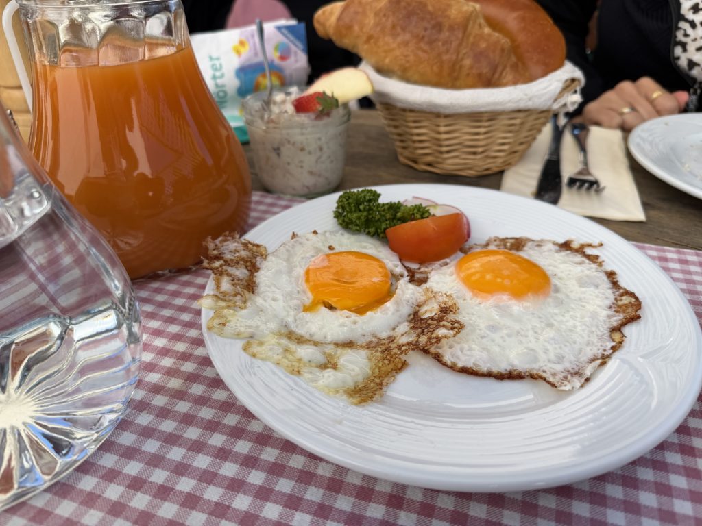 Pfänder Alp